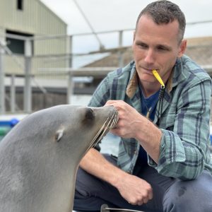 Portrait of Dr. Cook with handling a seal.