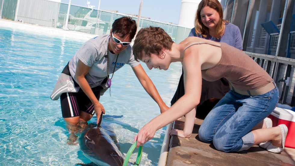 Student kneels next to pool, assisting professor in handling a live dolphin.